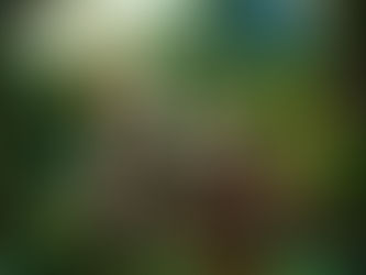 ¿Qué es un jefe inspirador? ¡Luna y Carmen quieren saber!