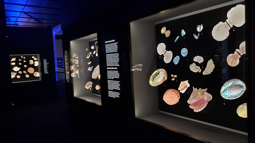 Exhibit Lighting
