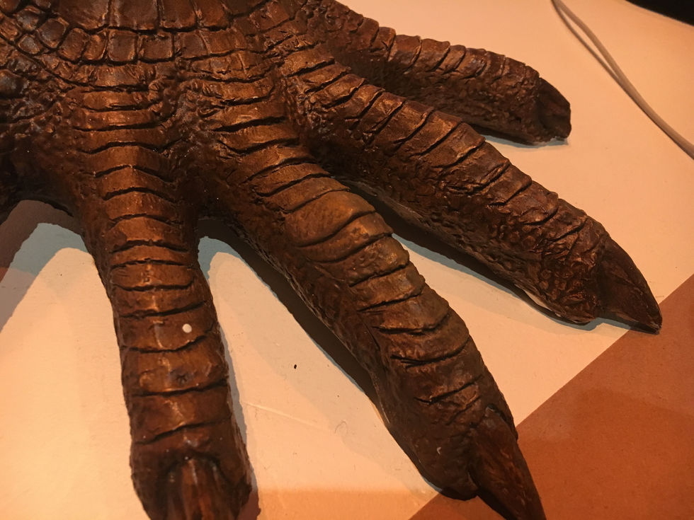 Dimetrodon Toe Repair