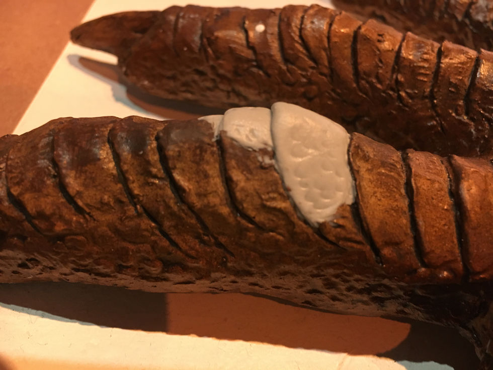 Dimetrodon Toe Repair