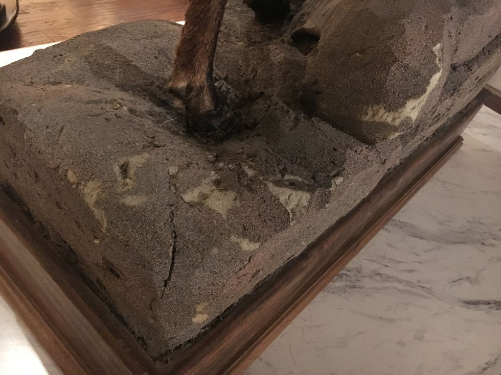 Foam Stone Damage
