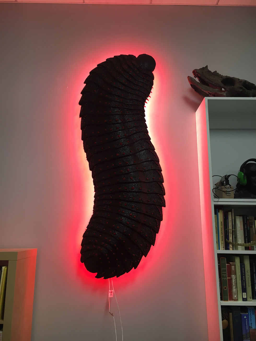 Paleontology Lab LED Backlight