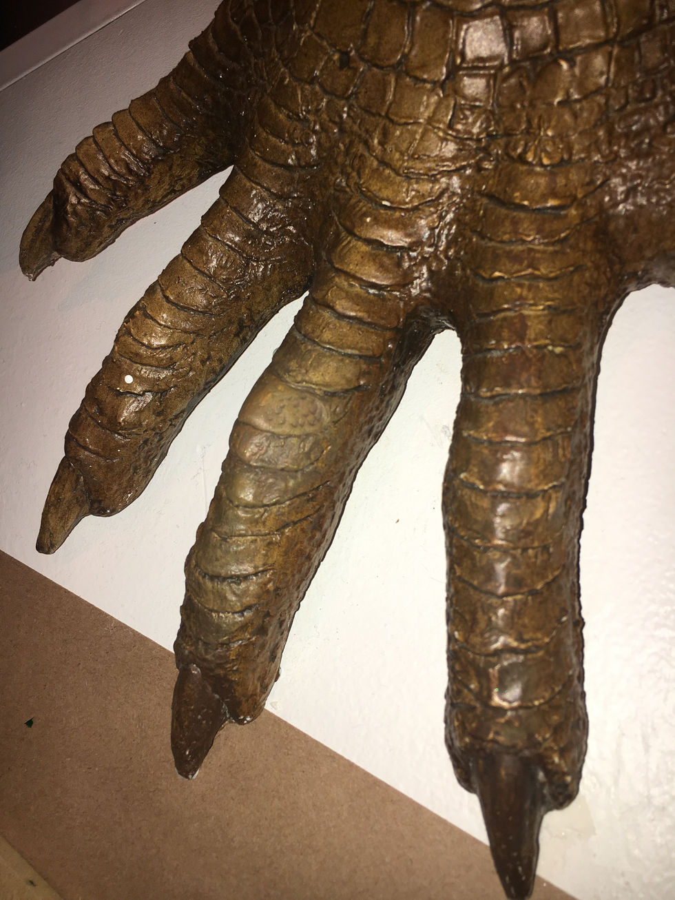 Dimetrodon Toe Repair