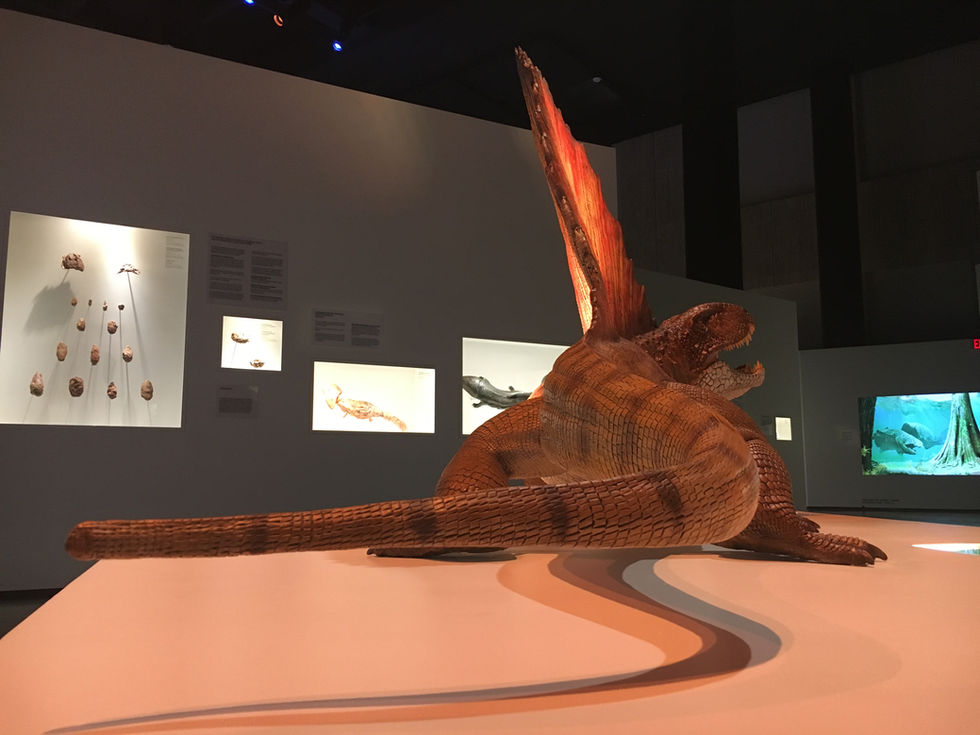 Dimetrodon Touch-up (After)