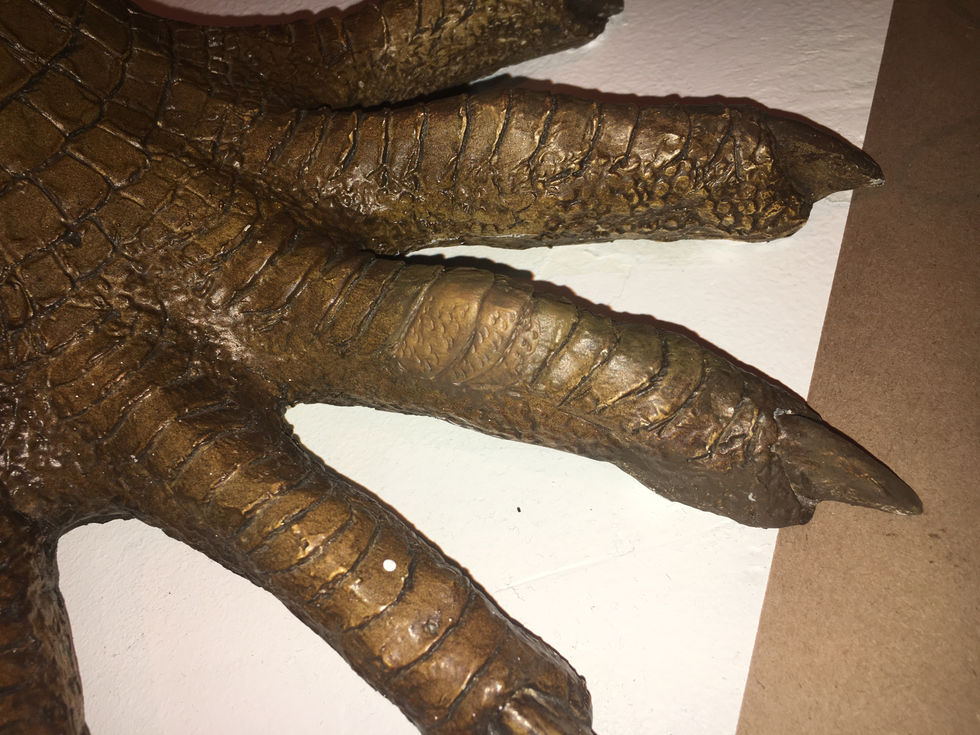 Dimetrodon Toe Repair
