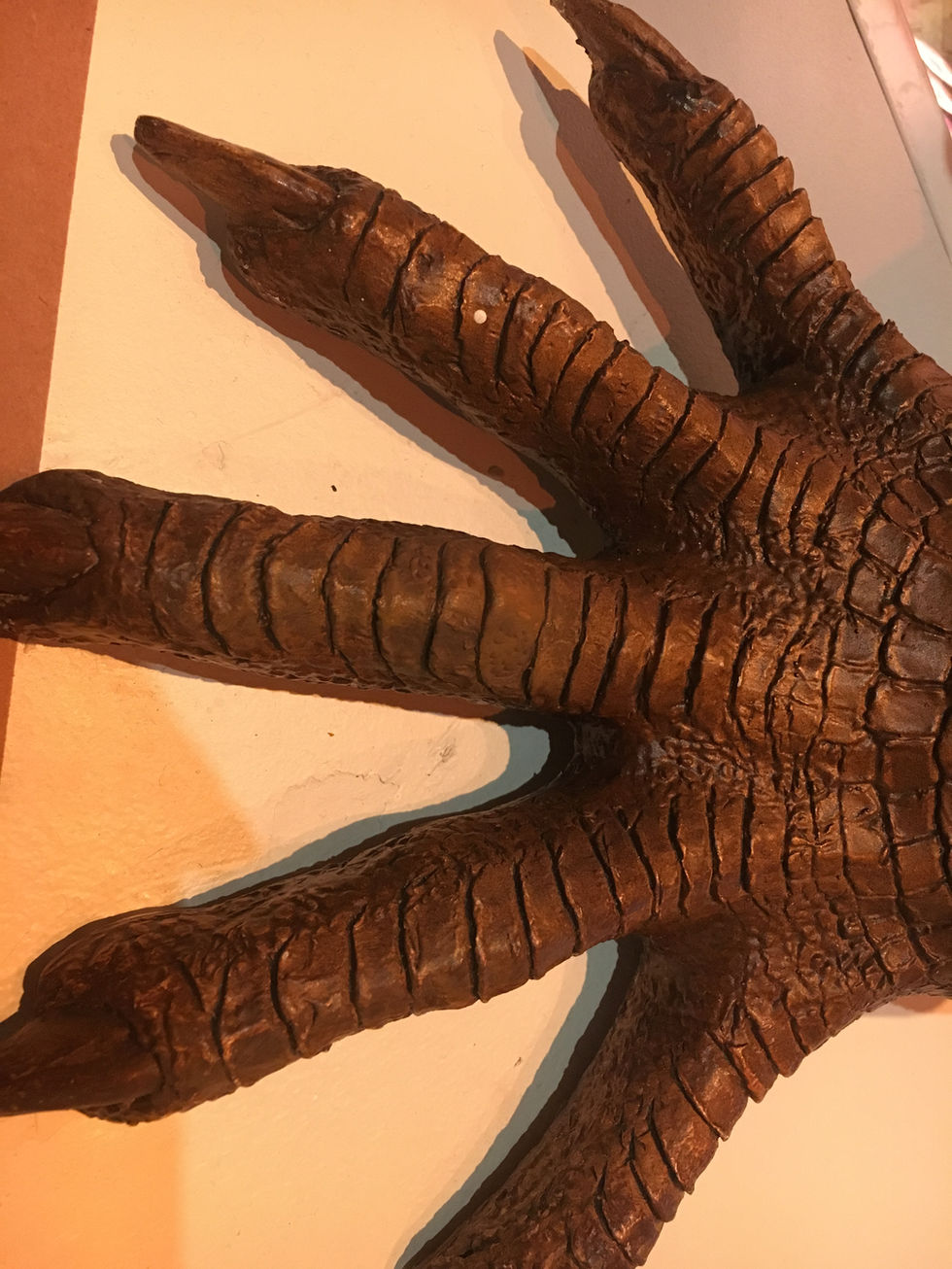 Dimetrodon Toe Repair