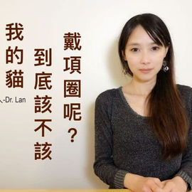 貓咪需要帶項圈嗎？