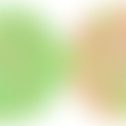 貓咪是色盲嗎？