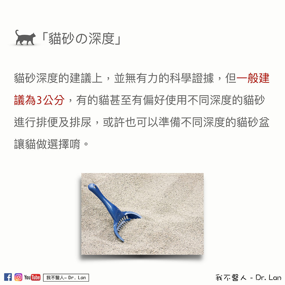 貓砂盆配置Tips