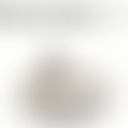 給養貓新手的 – 貓砂盆配置Tips