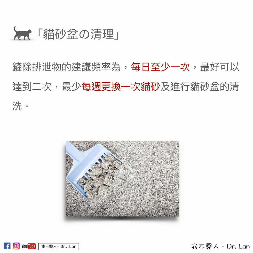 貓砂盆配置Tips