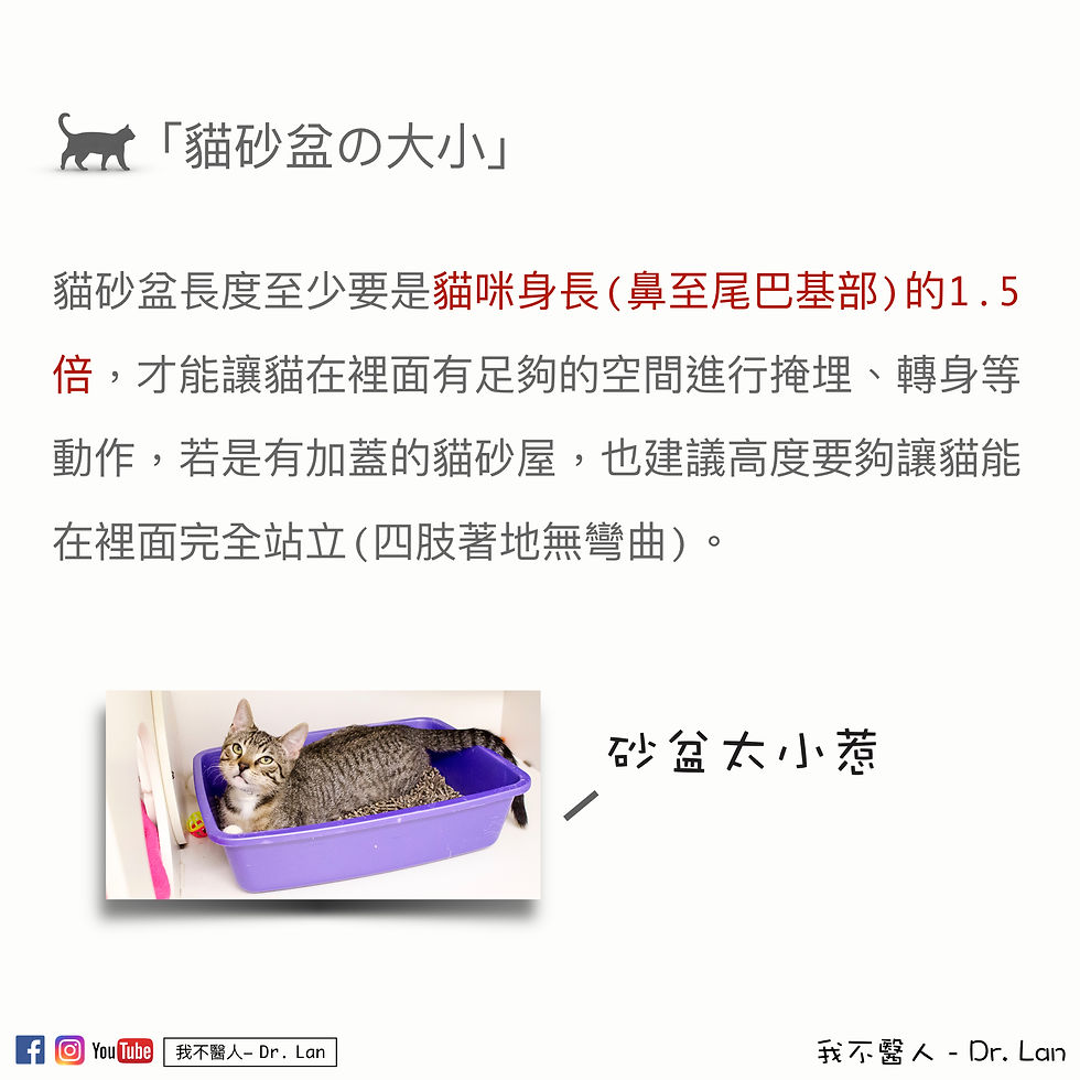 貓砂盆配置Tips