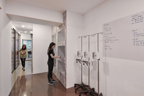 貓咪動物醫院環境