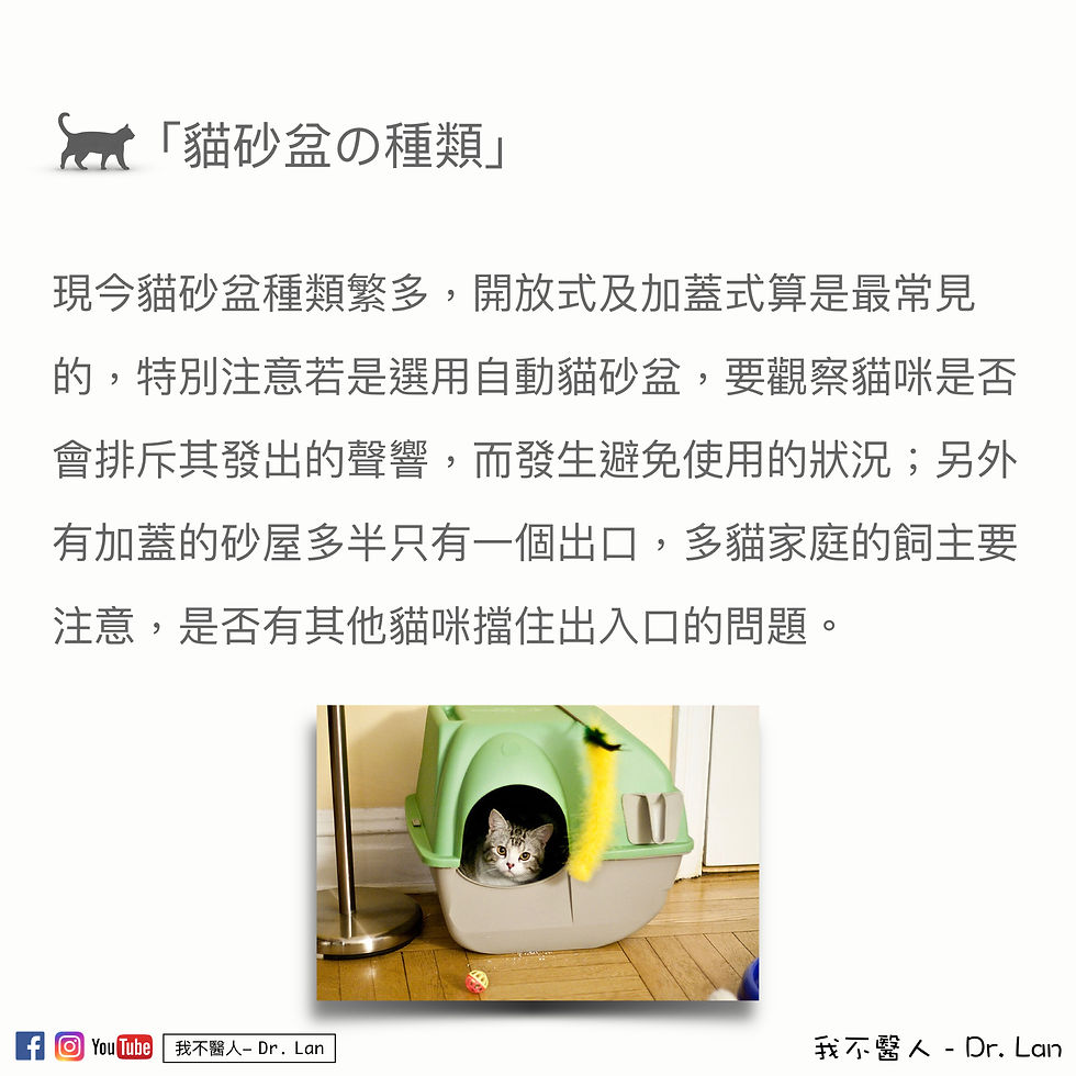 貓砂盆配置Tips