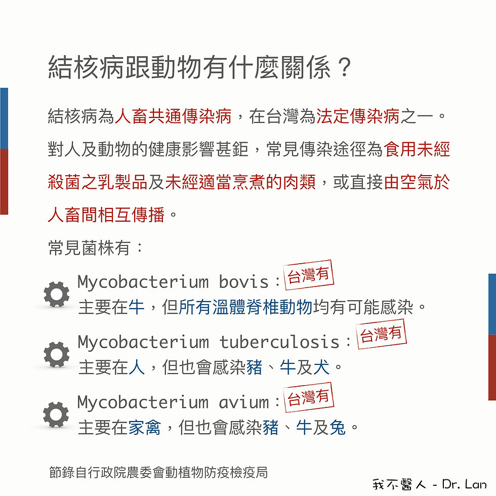 英國爆發貓結核病