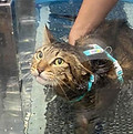 水療5.jpeg