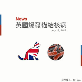 英國爆發貓結核病