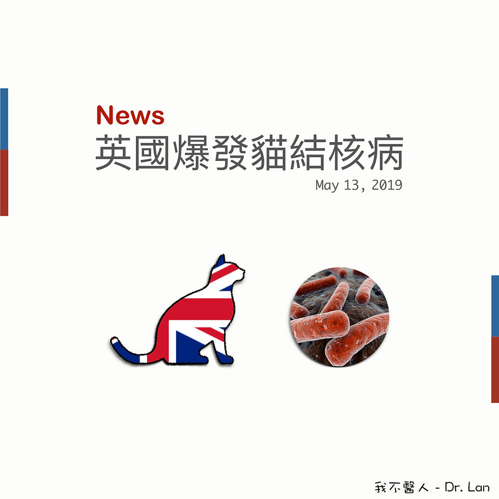 英國爆發貓結核病
