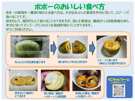 ポポーのおいしい食べ方です