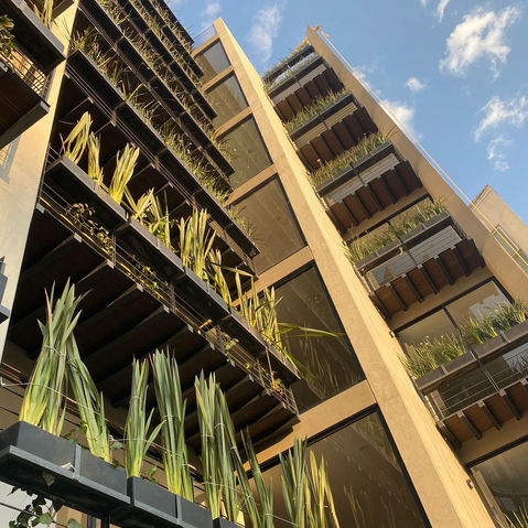 Grupo Dialco | Edificio de Dptos. |  Col. Condesa