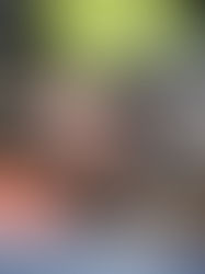 Important Auto Maintenance Tips for Longevity and Performance