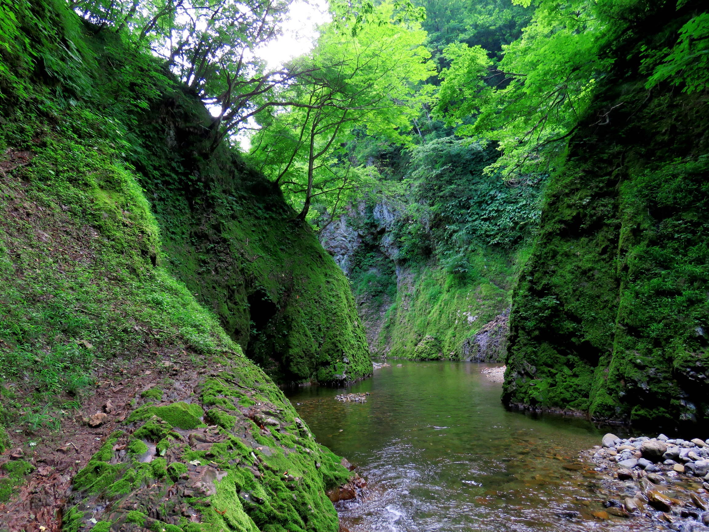 matto_river2
