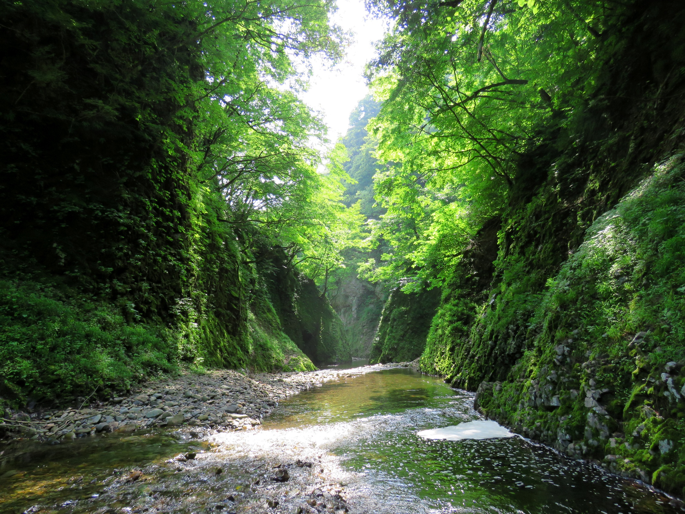 matto_river10