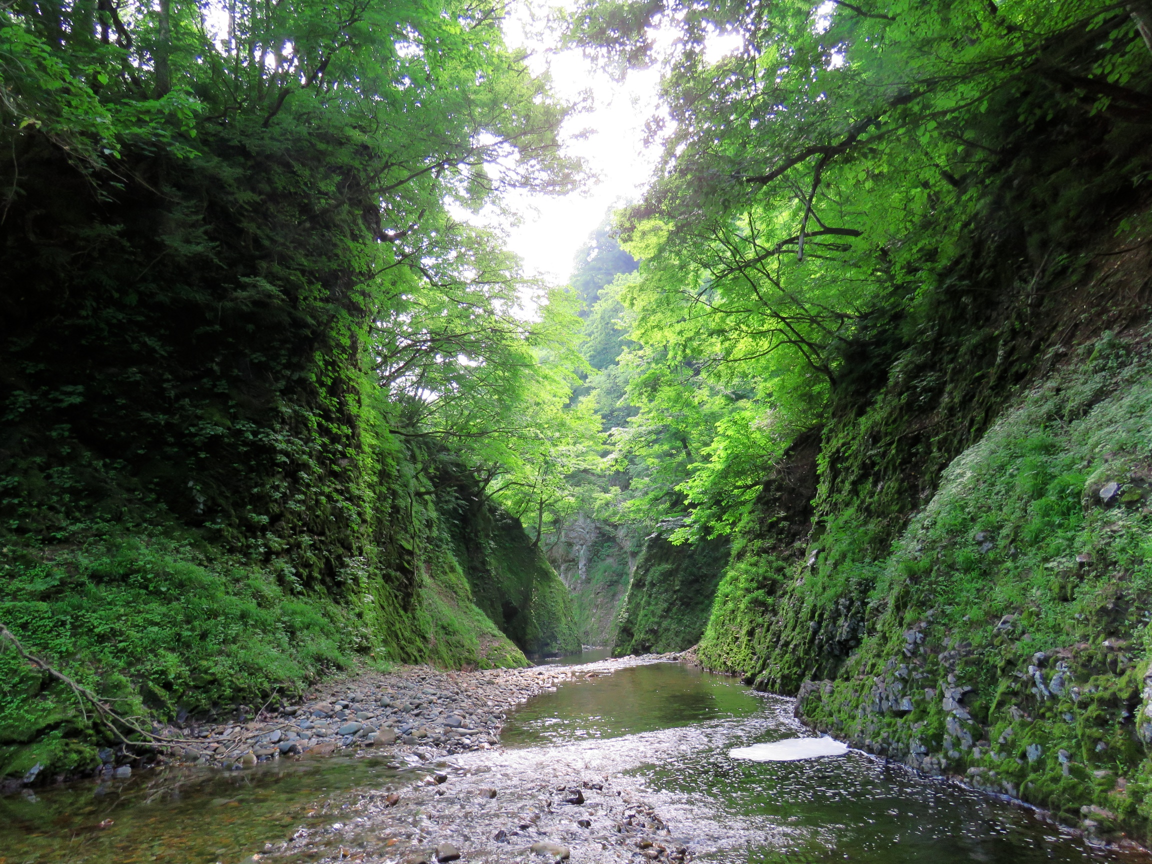 matto_river7