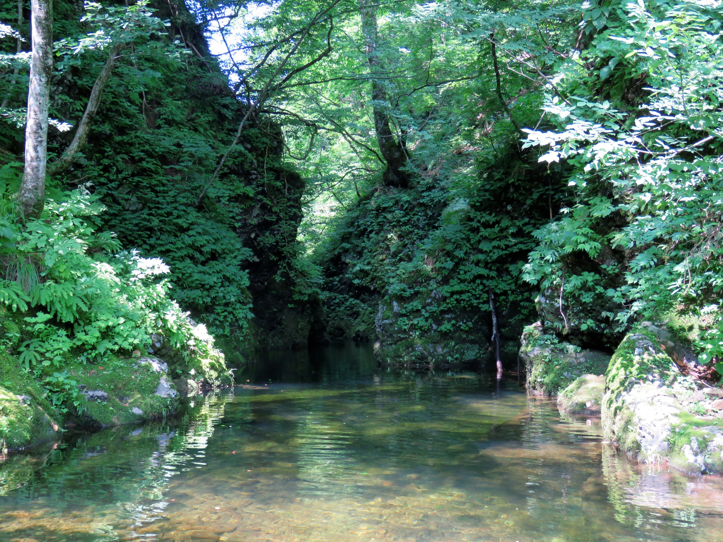 matto_river8