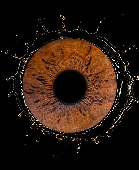 brown splash HIGHREZ copy.jpg