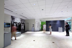 IMG_9129MTF D5 2011 12DIC12.jpg