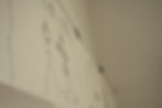 ID253-Detail