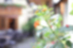 11092010_HotelzumRiesen_999_1.JPG