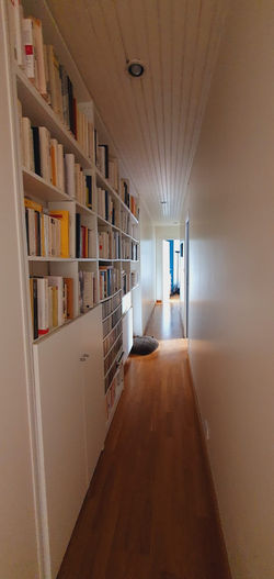 peinture-biblotheque