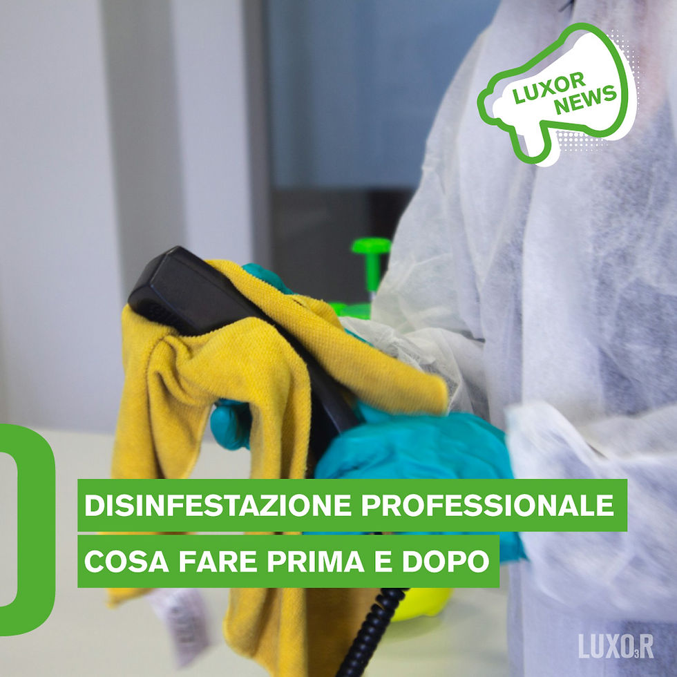puntura di zanzara