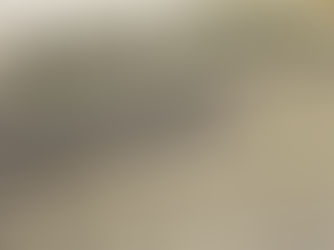 Die Inligtingsreguleerder sal die uitspraak oor matriekuitslae se publikasie bestudeer