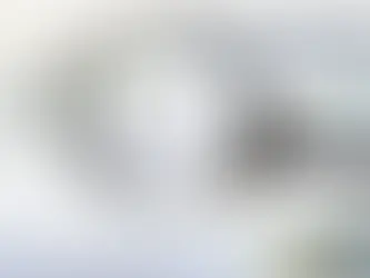 Die Valke ontbloot bedrog in die Vrystaat