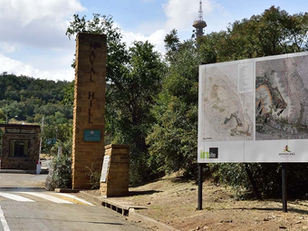 Die hof word versoek om ‘n stokkie voor die verkoop van ikoniese Bloem-eiendomme te steek