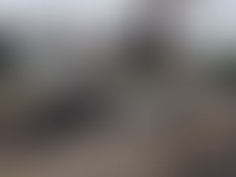 Centlec word geprys vir hulle vinnige optrede