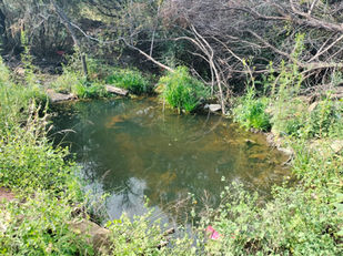 Die Mangaung-metro begin met herstelwerk aan ernstige waterlekke