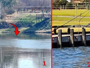 Daar is moontlik twee krokodille in die Vaalrivier
