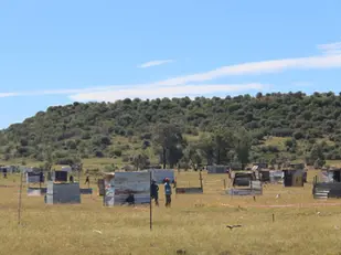 Die DA gaan hof toe oor Lourierpark