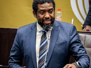 Nuwe Seta-raadslede lok kritiek uit