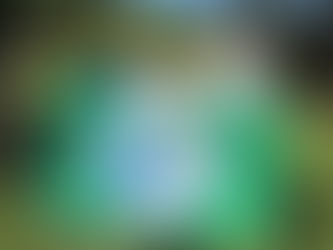 St Andrew’s ontvang ‘n internasionale omgewingstoekenning