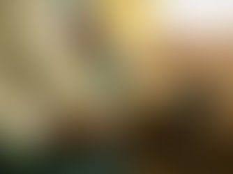 Die hoeveelheid tienerswangerskappe in die Vrystaat is skokkend