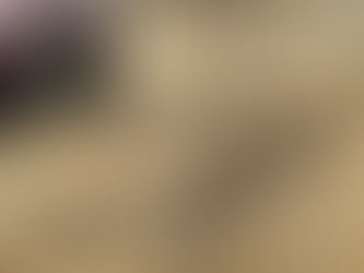 ‘n Nuwe kontrakteur vir die Vrystaat se ‘swakste pad’ word glo gou aangewys