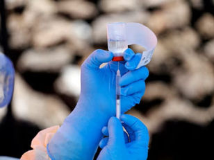 Oxford ontwikkel nuwe Ebola-entstof