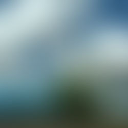 ‘Blou olifante’ staan glo ongebruik buite Bloemfontein