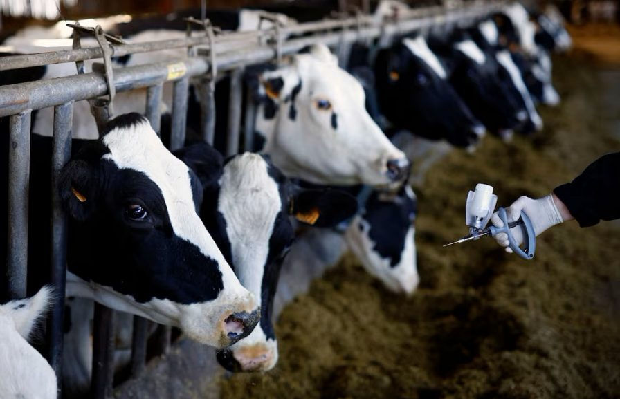 Ter illustrasie. FOTOS: SABC News