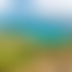 ‘n Bejaarde is oorlede na ‘n passasierskip haar per ongeluk op ‘n eiland vergeet